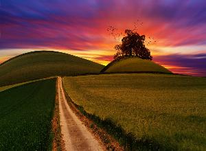 4k Wallpaper Agriculture Android Wallpaper 1146708